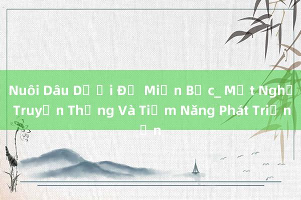 Nuôi Dâu Dưới Để Miền Bắc_ Một Nghề Truyền Thống Và Tiềm Năng Phát Triển