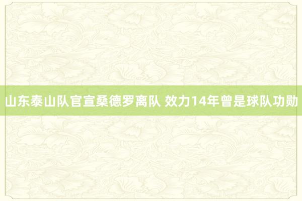 山东泰山队官宣桑德罗离队 效力14年曾是球队功勋