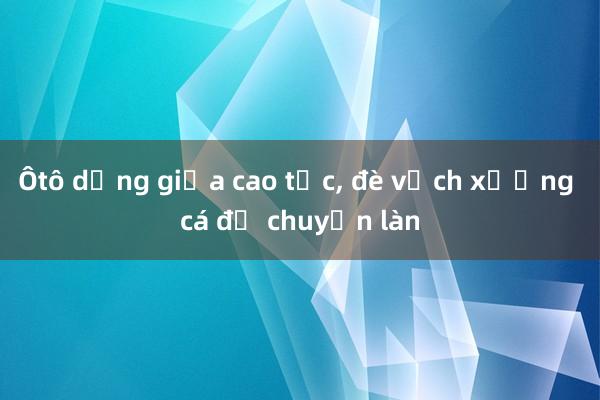 Ôtô dừng giữa cao tốc， đè vạch xương cá để chuyển làn