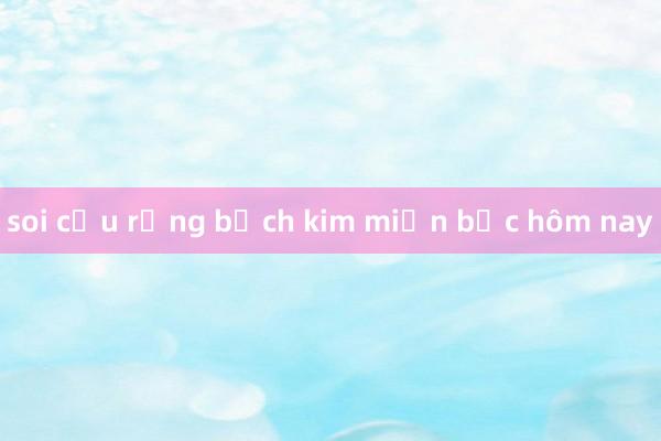 soi cầu rồng bạch kim miền bắc hôm nay