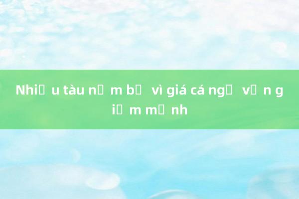 Nhiều tàu nằm bờ vì giá cá ngừ vằn giảm mạnh