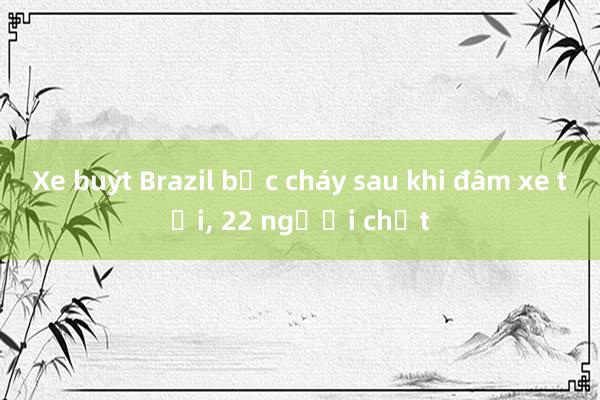 Xe buýt Brazil bốc cháy sau khi đâm xe tải， 22 người chết