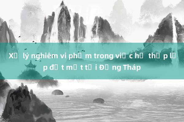 Xử lý nghiêm vi phạm trong việc hạ thấp lớp đất mặt tại Đồng Tháp